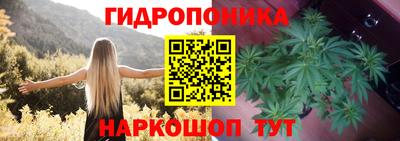 кокс Нарткала