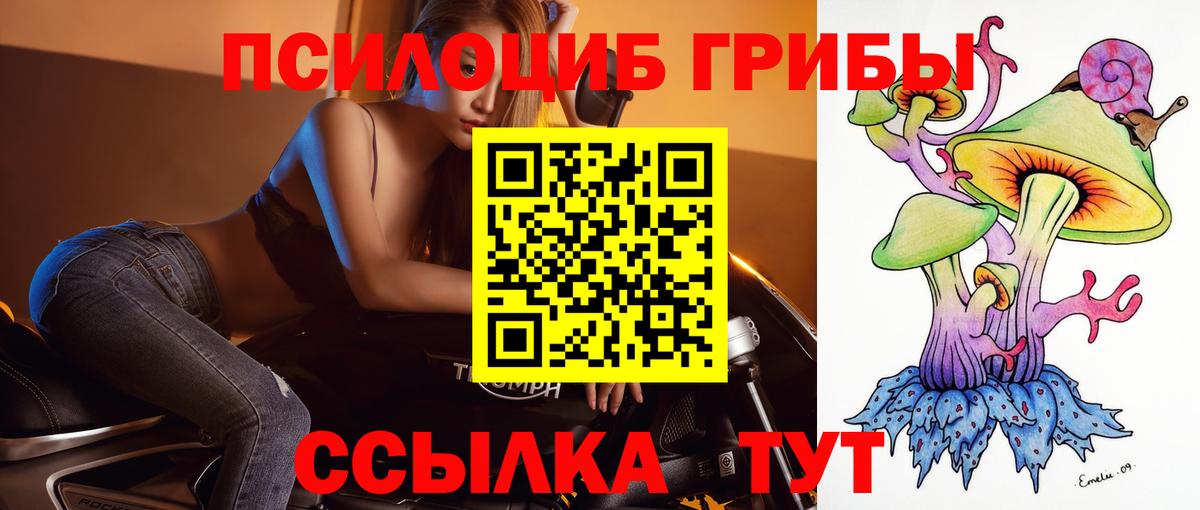 Псилоцибиновые грибы Magic Shrooms  Вход с VPN  Галлюциногенные грибы Psilocybine cubensis  Дальнереченск 